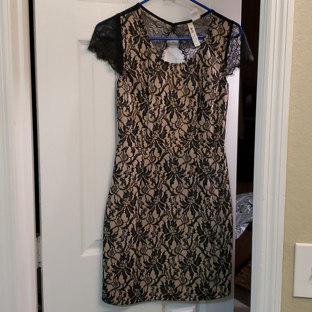 Alice Moon lace dress